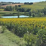 Fattoria Del Colle By Enrico Apartamento *
