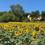 Fattoria Del Colle By Enrico Apartamento *