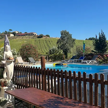 Fattoria Del Colle By Enrico