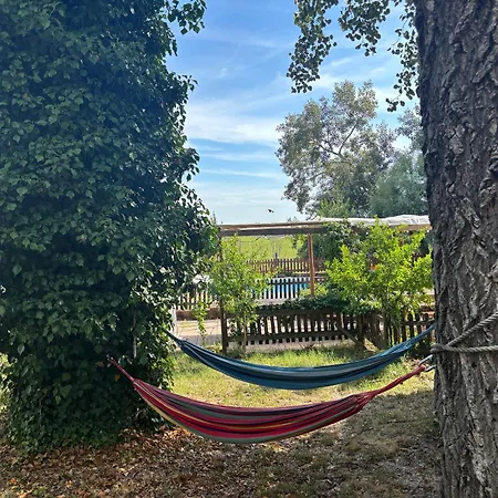 Fattoria Del Colle By Enrico 公寓