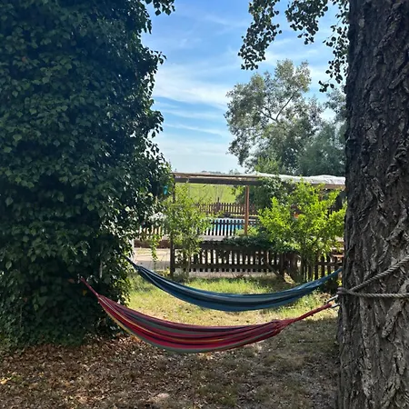 Fattoria Del Colle By Enrico Apartment Casa Cappanera