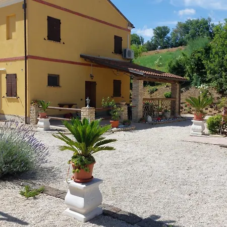 Apartment Fattoria Del Colle By Enrico