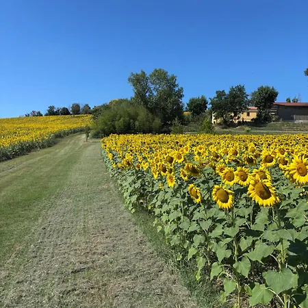 公寓 Fattoria Del Colle By Enrico Casa Cappanera