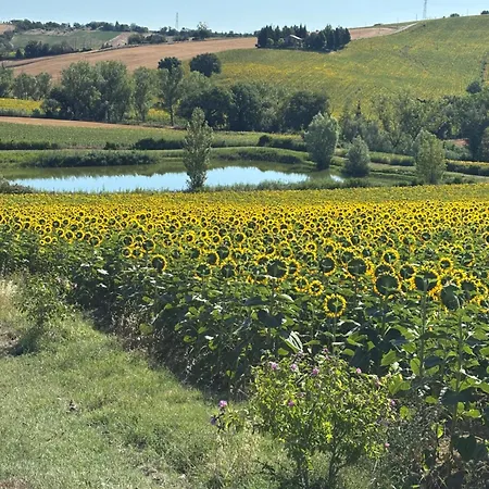 Fattoria Del Colle By Enrico Apartment *
