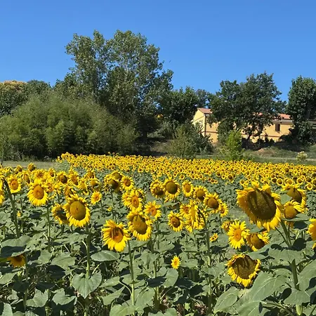 Fattoria Del Colle By Enrico Apartment *