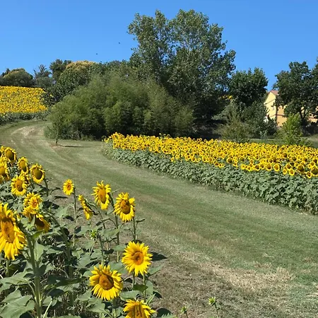 Apartment Fattoria Del Colle By Enrico *