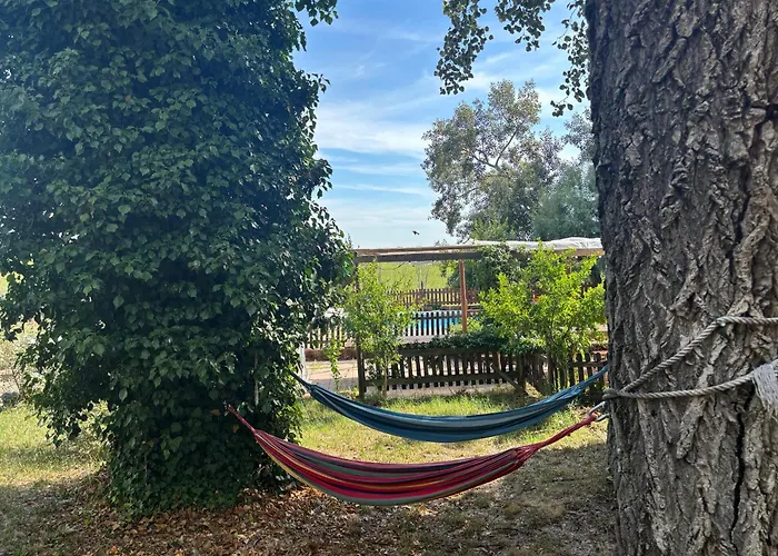 Fattoria Del Colle By Enrico Apartment