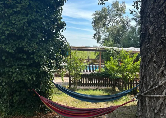 Fattoria Del Colle By Enrico Apartment Casa Cappanera