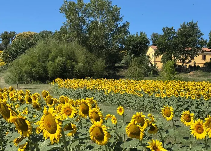 Fattoria Del Colle By Enrico Apartment Casa Cappanera