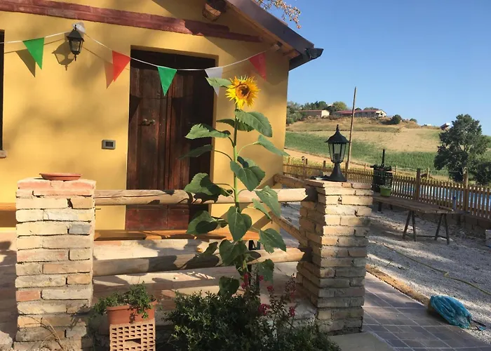 Fattoria Del Colle By Enrico *