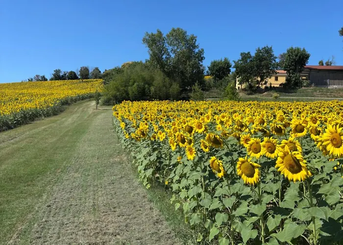Apartment Fattoria Del Colle By Enrico Casa Cappanera