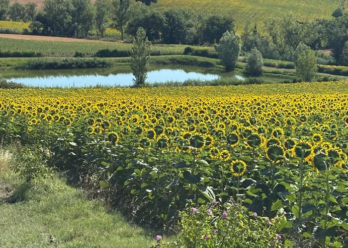 Fattoria Del Colle By Enrico Apartment *