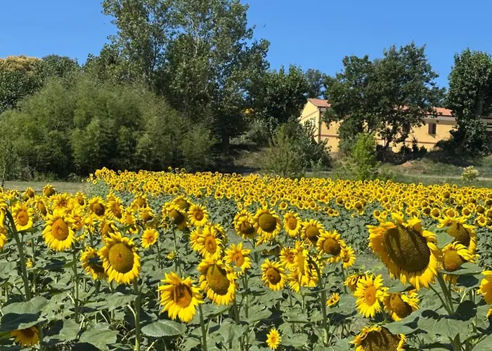 Fattoria Del Colle By Enrico Apartment *