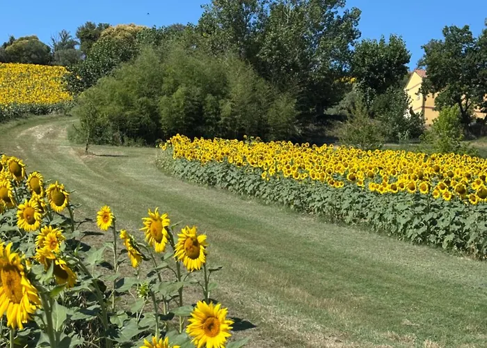 Apartment Fattoria Del Colle By Enrico *