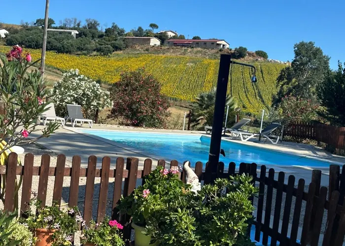 Apartment Fattoria Del Colle By Enrico